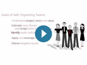 Scrum certification: Principle - Self Organisation