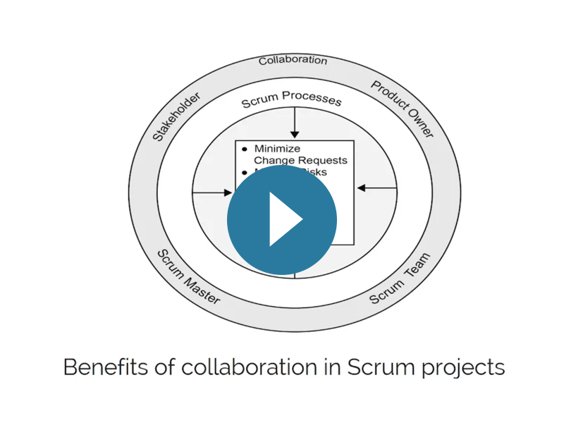 Scrum certification: Principles - Collaboration