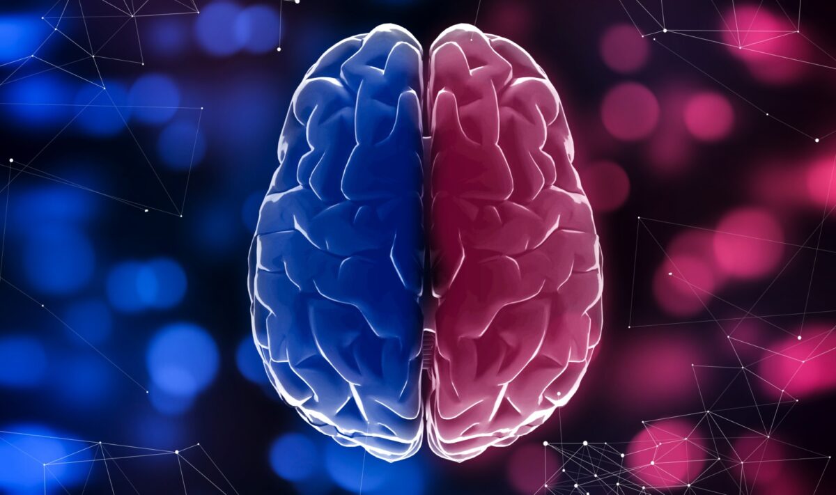 Using the Red Brain, Blue Brain Framework to Improve Workplace Outcomes